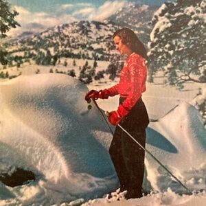 Welcome To Lolly Land